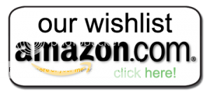  photo AmazonWishlist-300x133.png