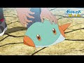 上 ポケモン チコリータ アニメ 267014-ポケモン チコリータ アニメ 何話