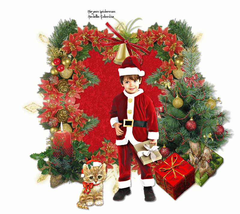 Miryam Leiderman- Chegando para o Natal by Majo