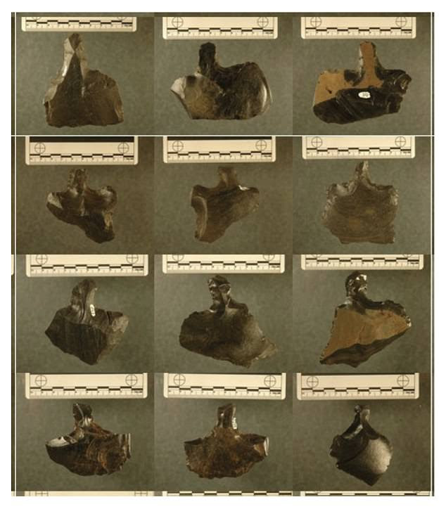 In their remote location off the coast of Chile, the ancient inhabitants of Easter Island were believed to have been wiped out by bloody warfare, as they fought over the island's dwindling resources. Instead, new research suggests the islanders most likely used the sharp objects, called 'mata'a', as tools instead of weapons