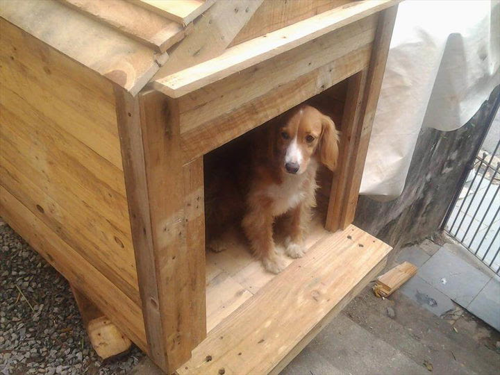 Dog House Made Out of Pallets | 99 Pallets
