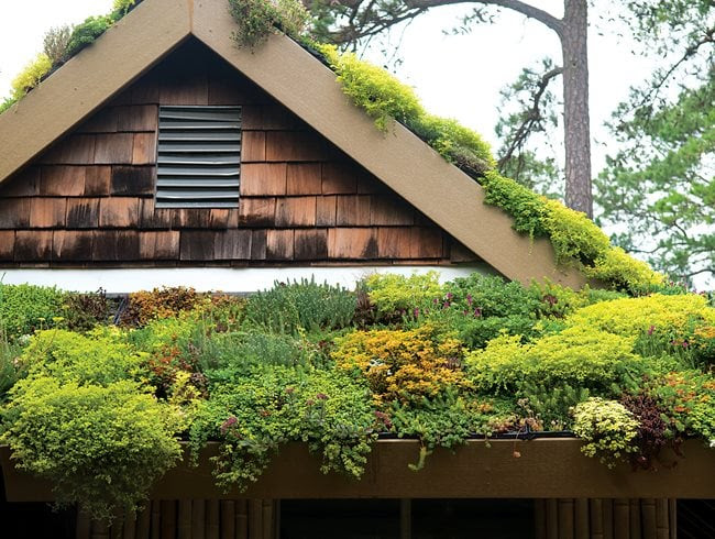Green Roofs | Garden Design Green Roofs | Garden Design on Green Garden Design
id=85269