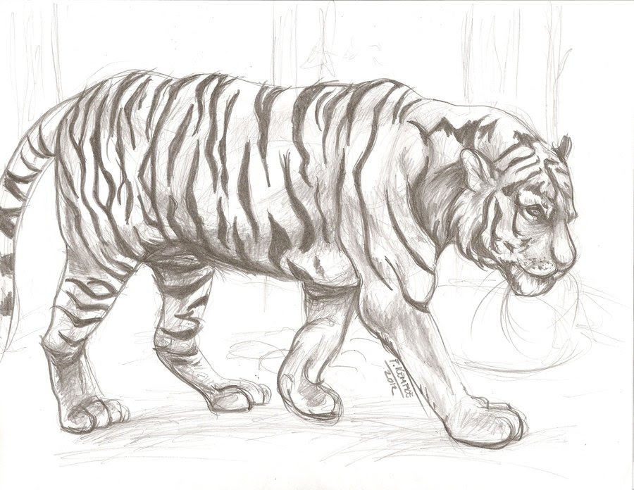 drawing of an animal - Clip Art Library
