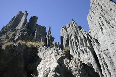 IMG_0972