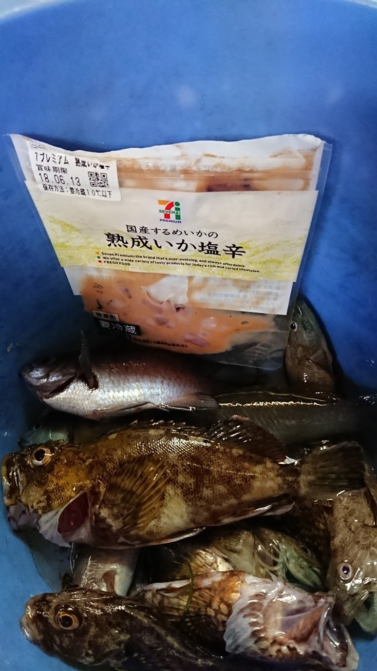 実験 セブンのイカの塩辛 L 浜松市千歳 利用理容岩本