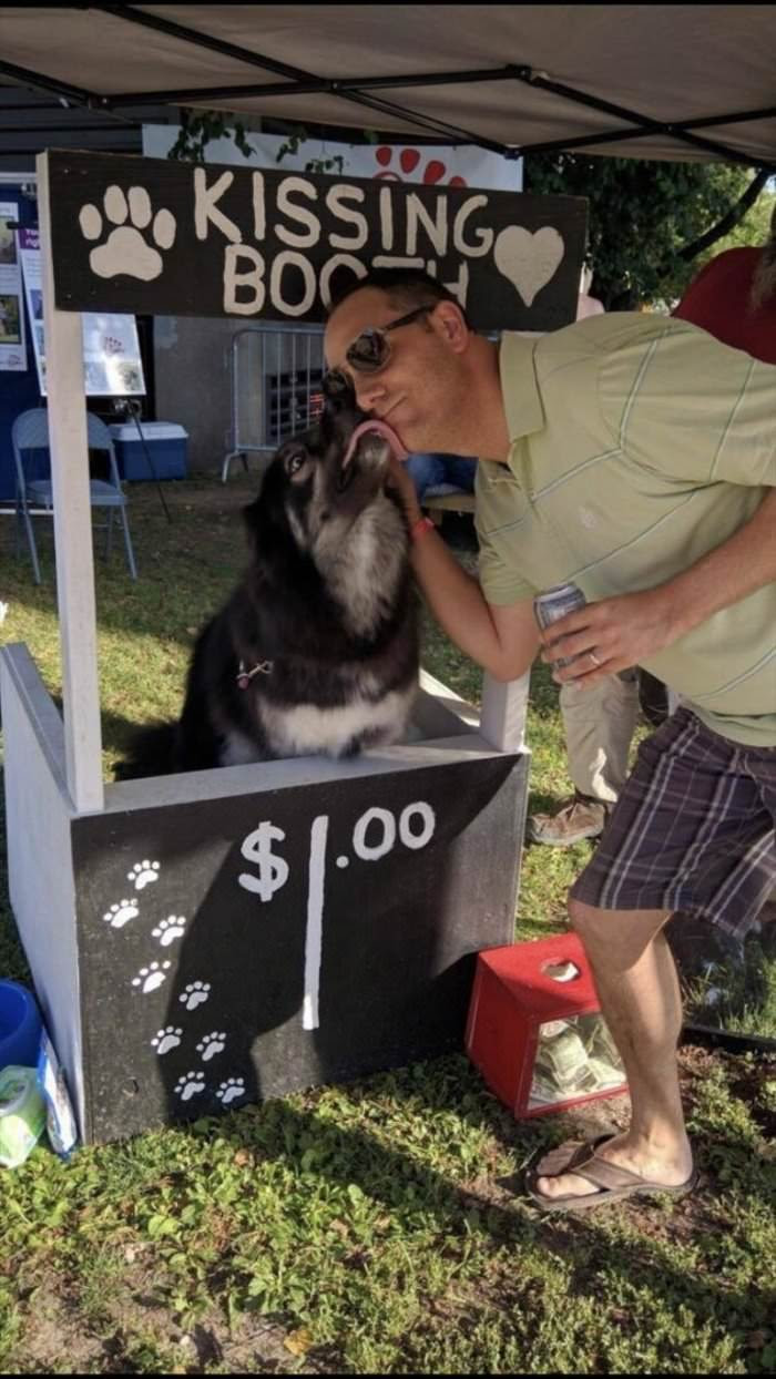 dailyhaha funny pictures