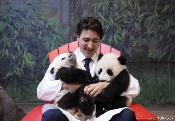  Thủ tướng Canada đăng tải ảnh trên trang Twitter @JustinTrudeau