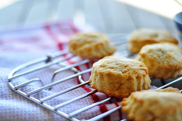 creambiscuits4