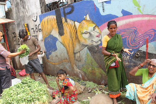 tiger tiger on the wall.. by firoze shakir photographerno1