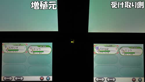 ポケモンxyのポケモン増殖バグの裏技とやり方 Orasでも可能