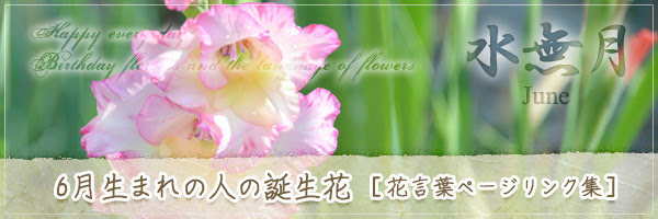 6月生まれの人の誕生花 の花言葉 誕生花 チルの工房 无域屋 花札庵
