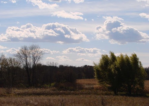october 06 516