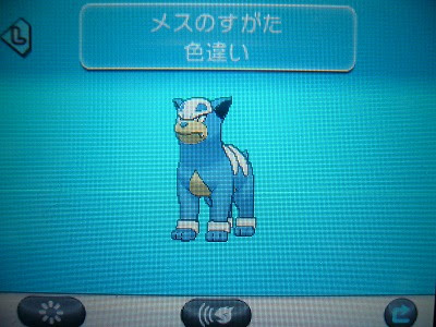 デルビル よもぎの色ポケコレクションブログ