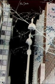 Regarder le streaming City Foliage (2020) Film