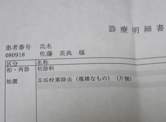 注意喚起 耳垢と耳掃除には注意しろ 最悪の場合耳が聞こえなくなるぞ ロケットニュース24