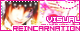 Visual-Reincarnation