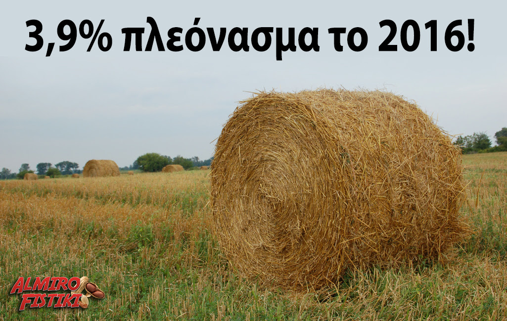 20170423_AlmiroFistiki_pleonasma.jpg