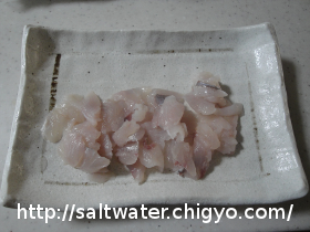 セイゴのアライ Chigyo Fishing