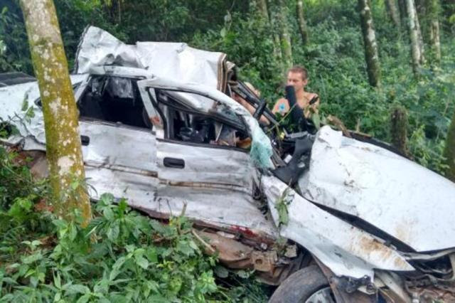 Motorista morre após carro sair da pista e colidir contra árvores em Iraí PRF/Divulgação