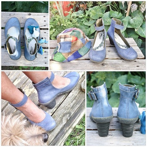 blue el naturalista dome