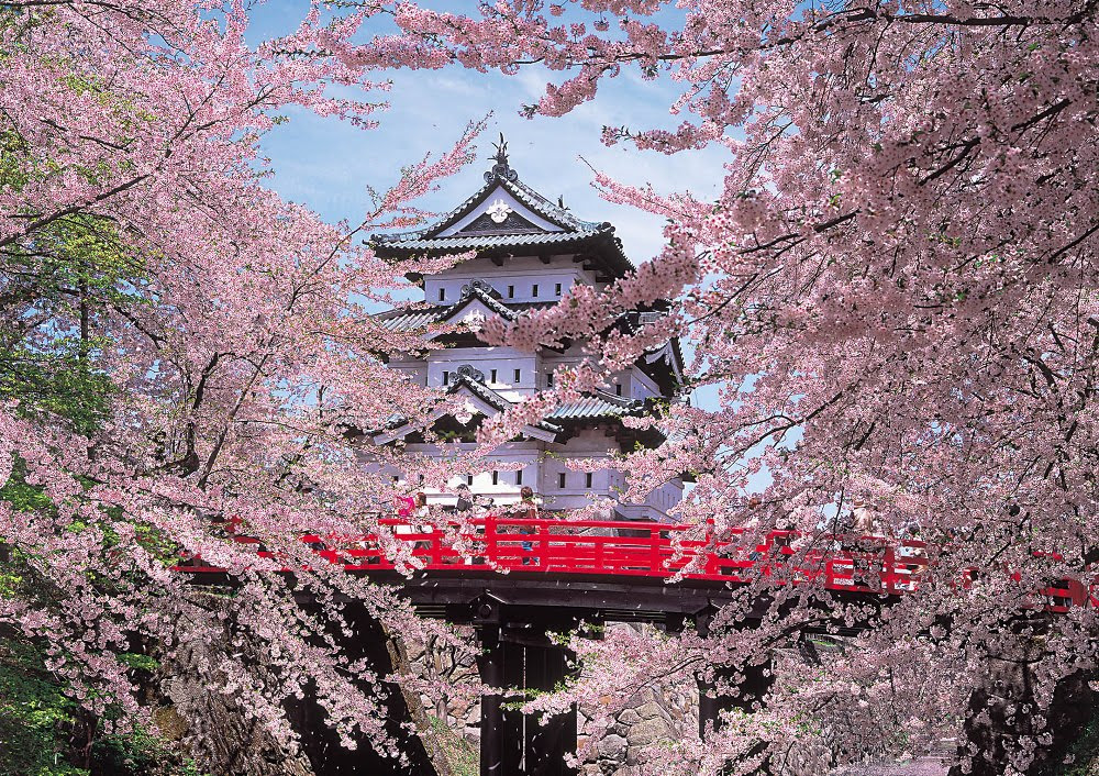 若だんながそっとお教えする 弘前城の桜プチ情報