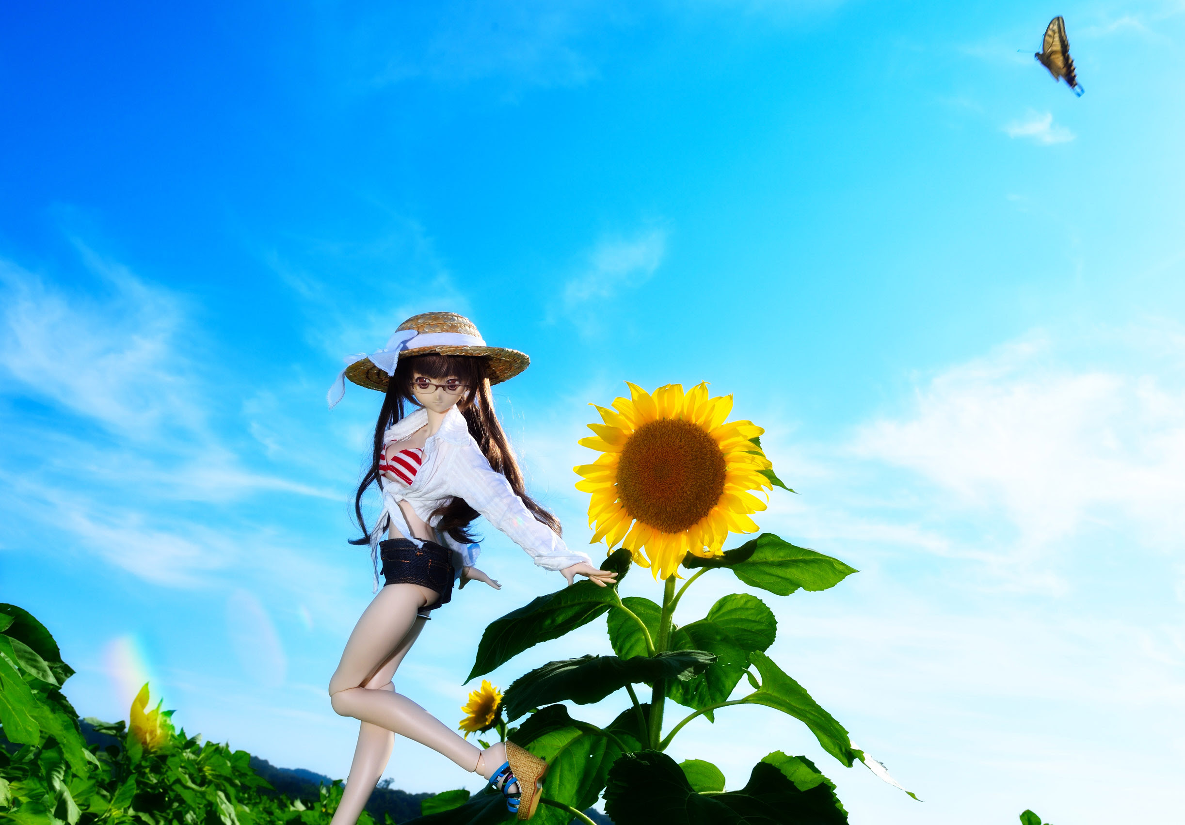 ヒマワリ 益子町のひまわり開花状況15 ドール おしゃれ宇宙人blog