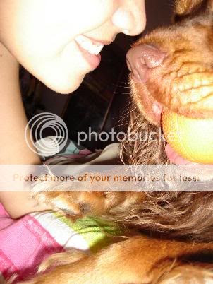 Image hosted by Photobucket.com