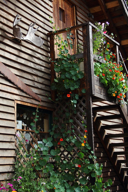 talkeetna2