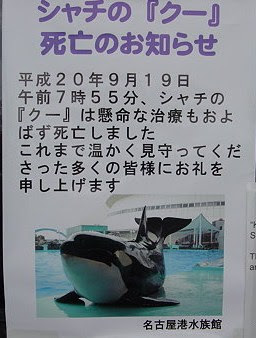 名古屋港水族館は２度とシャチを飼育するな 時々シュールな精進日和