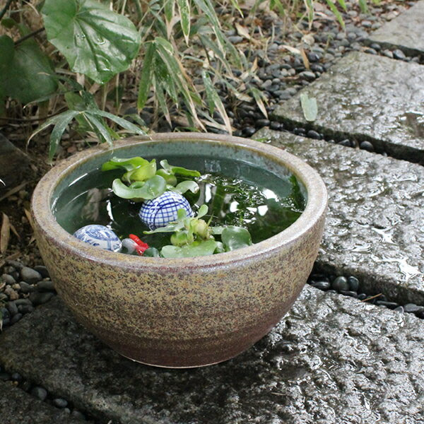 睡蓮鉢 メダカ鉢 金魚鉢 陶器 大型 メダカ ビオトープめだか鉢 水鉢 信楽焼 まるいち本店のページ ひもづけ Com