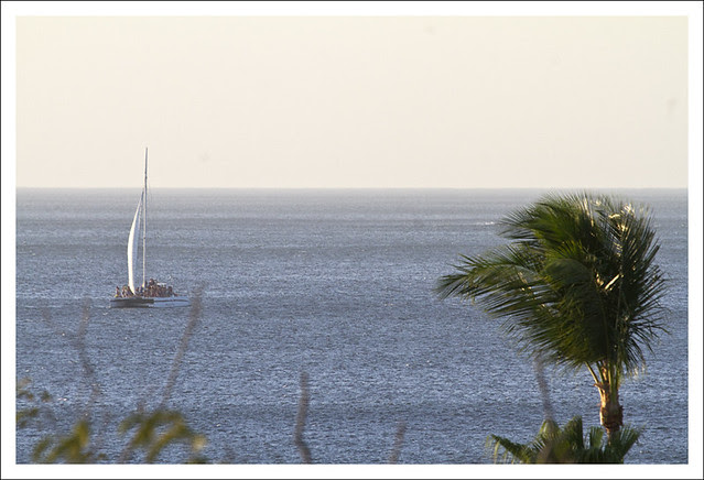 Tamarindo Near Sunset 2