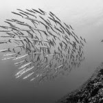 4-Photo by Paul Colley