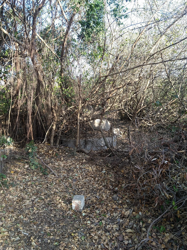 CIMG_20230127_081648
