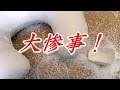 [新しいコレクション] ぬいぐるみ 中身 ビーズ 133791-ぬいぐるみ 中身 ビーズ