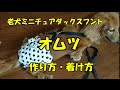 犬 オムツ 人間用 オス 131013-犬 おむつ 人間用 オス