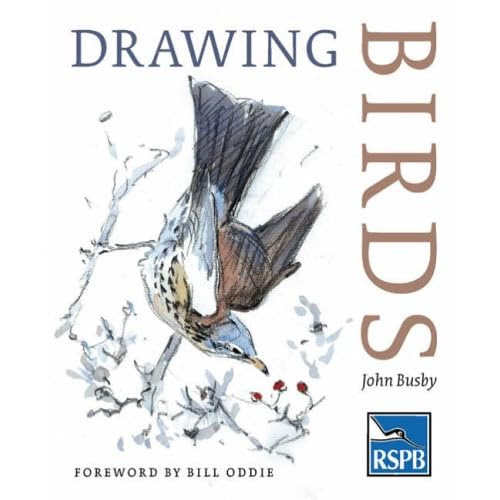 pictures of birds to draw