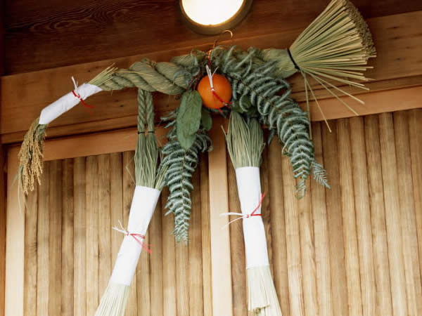 1月5日 裏白 うらじろ ３６６日への旅 誕生花編 今日は誕生花