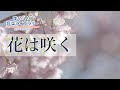 [最新] 花が咲くhana 283892-花が咲く花が咲く