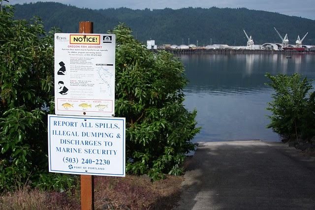 Willamette River at McCarthy Park