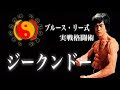 無料ダウンロード ブルー スリー 武術 687797-ブルースリー 武術
