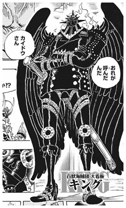 ワンピースで百獣海賊団のメンバーー覧 能力や懸賞金を紹介 Legend Anime