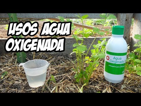 Agua oxigenada