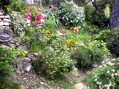 Free Rock Garden Ideas Photograph Rock Garden Ideas Alpi