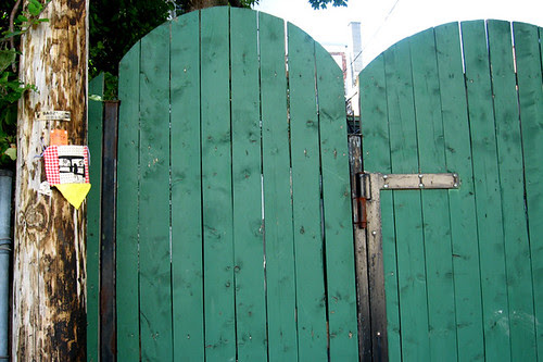 xray gingham dress i