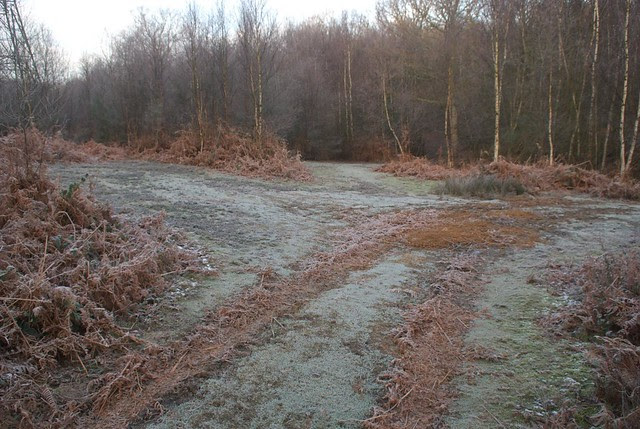 DSC_5524 frost