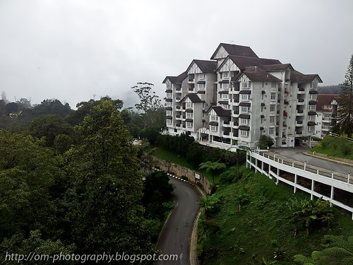2012-12-30 15.20.24 copy