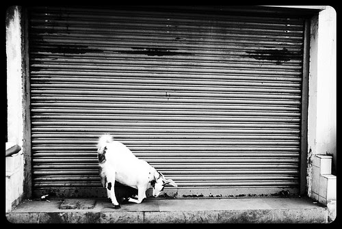 This Was Once My Old Workplace by firoze shakir photographerno1