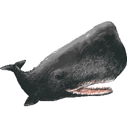 抹香鯨 まっこうくじら No 054 リアルマッコウクジラのイラスト アイコン 条件付フリー素材集 スマホなど携帯電話対応