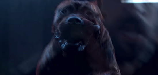 Get Em High » Bullet Head Trailer