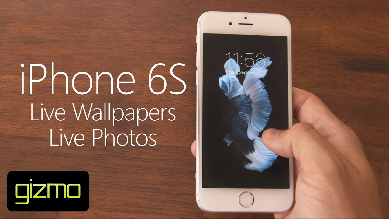 Iphone 7 Plus Live Wallpaper Not Working Iphone 6s Plus Live